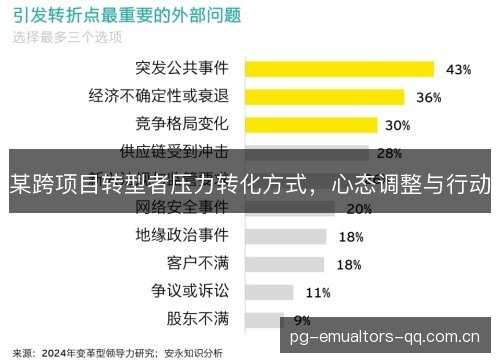 某跨项目转型者压力转化方式，心态调整与行动